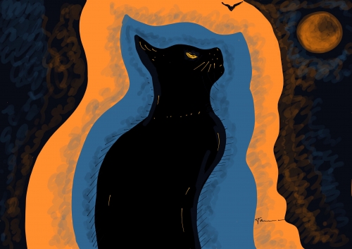 chat11111.jpg