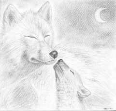 d_loups_l.jpg